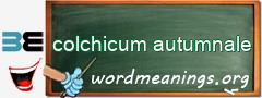 WordMeaning blackboard for colchicum autumnale